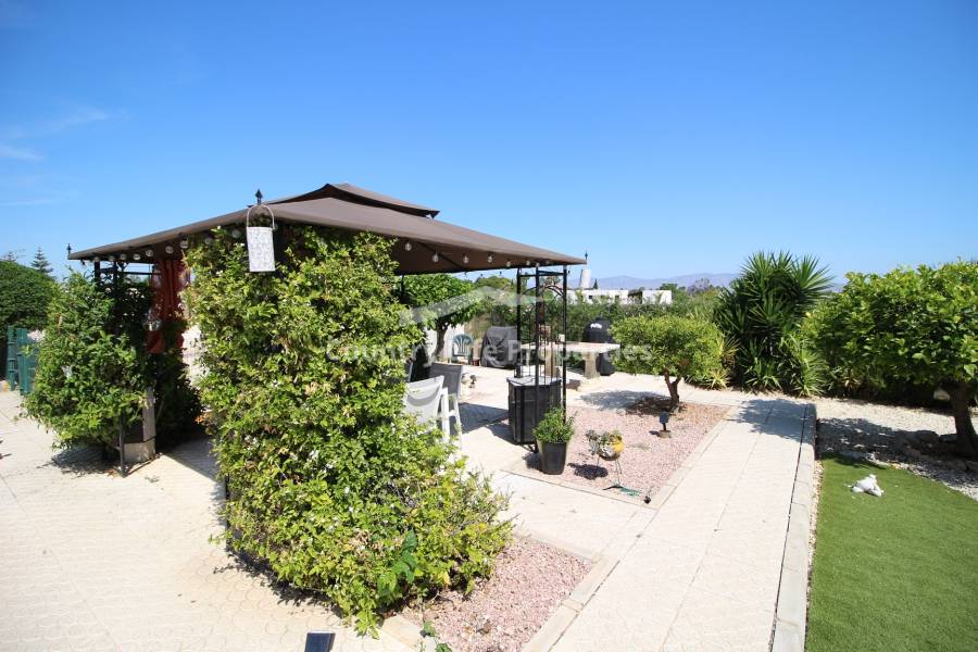 Revente - Chalet - Catral - Countryside 