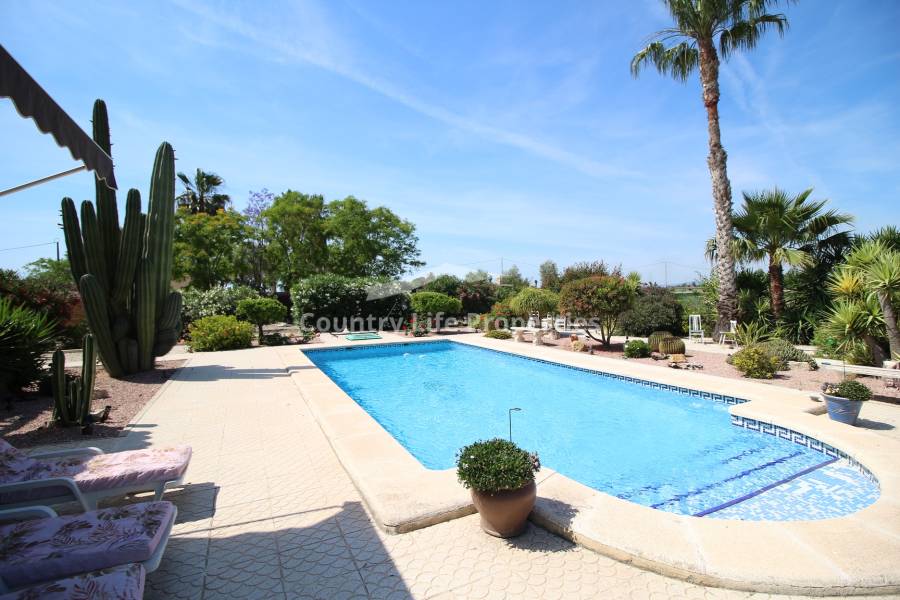 Revente - Chalet - Catral - Countryside 