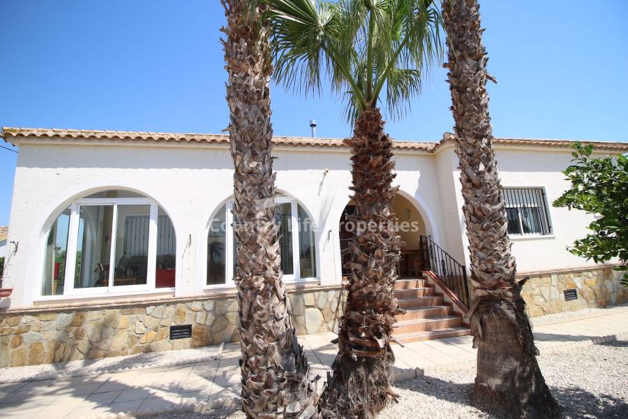 Revente - Chalet - Catral - Countryside 