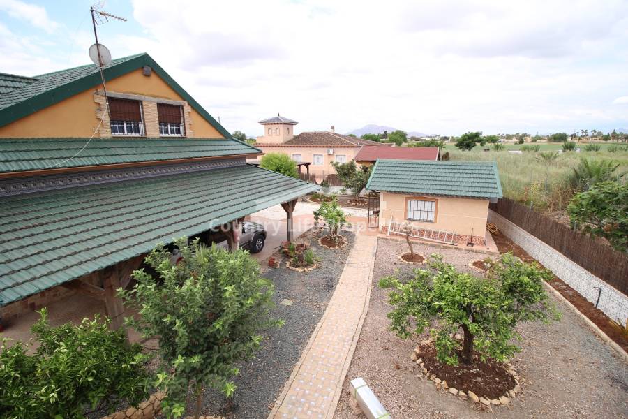 Revente - Chalet - Catral - Countryside 