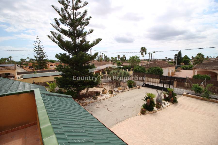 Revente - Chalet - Catral - Countryside 