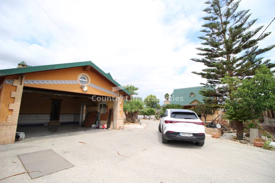 Revente - Chalet - Catral - Countryside 