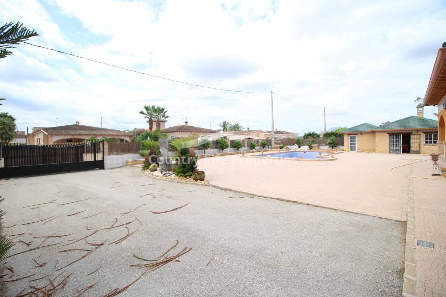 Revente - Chalet - Catral - Countryside 