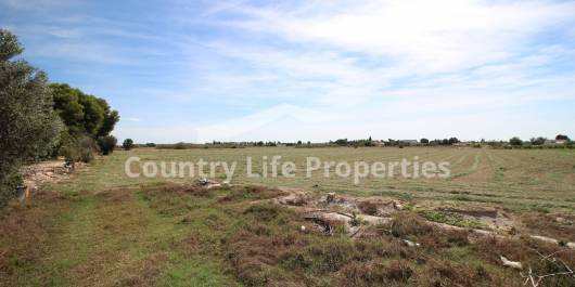Terrain - Revente - Dolores - Countryside