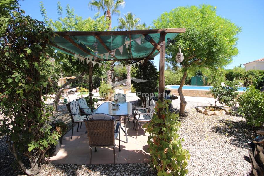 Revente - Chalet - Catral - Countryside 