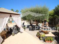 Revente - Chalet - Catral - Countryside 