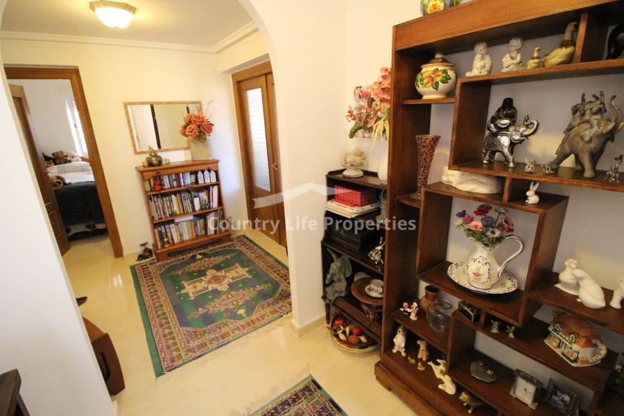 Revente - Chalet - Catral - Countryside 