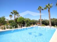 Revente - Chalet - Catral - Countryside 