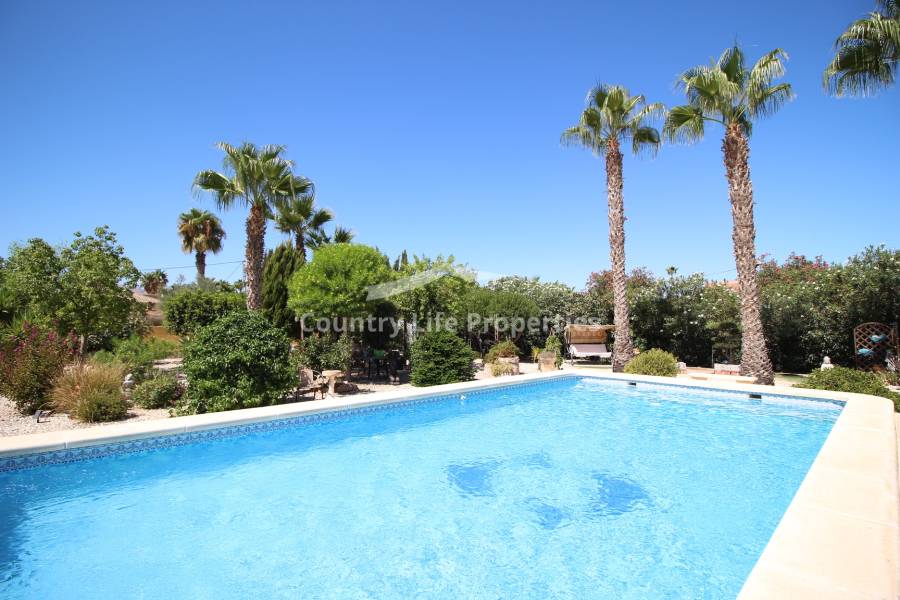 Revente - Chalet - Catral - Countryside 