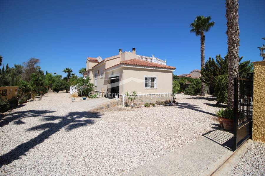 Revente - Chalet - Catral - Countryside 