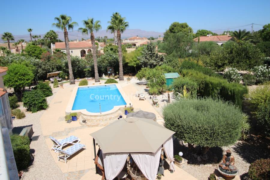 Revente - Chalet - Catral - Countryside 