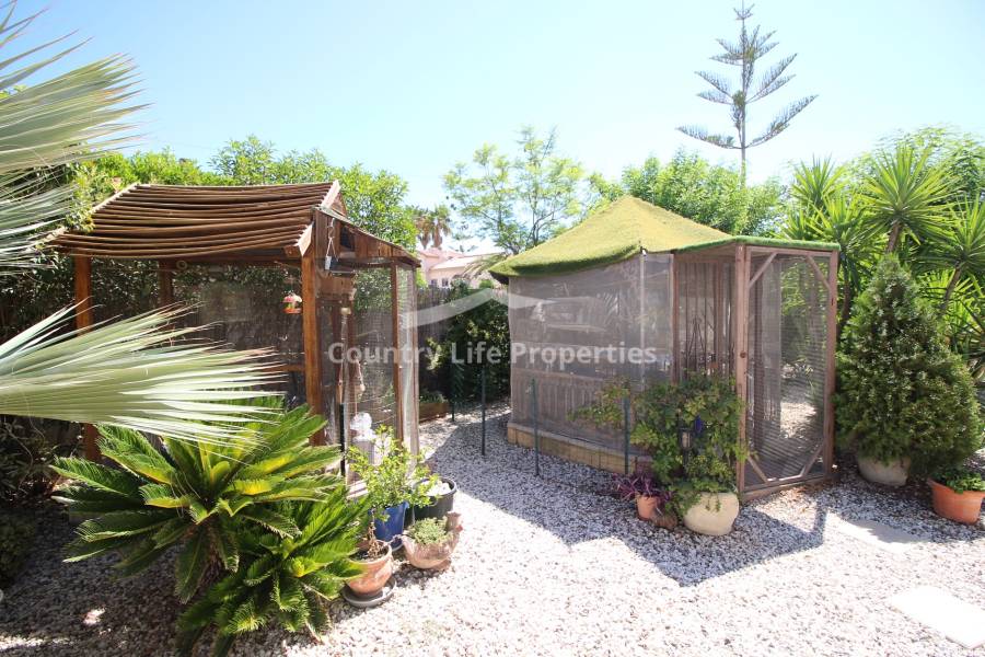 Revente - Chalet - Catral - Countryside 