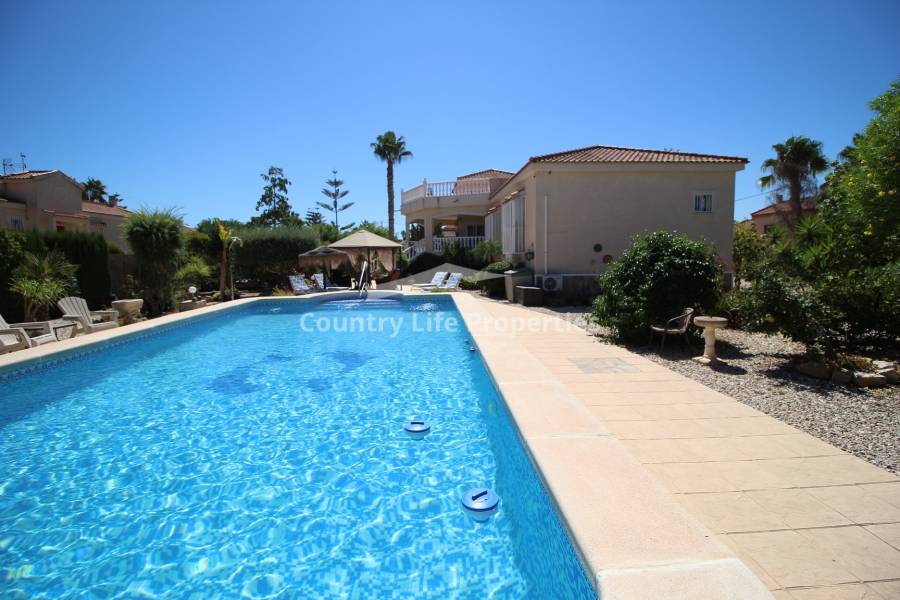 Revente - Chalet - Catral - Countryside 