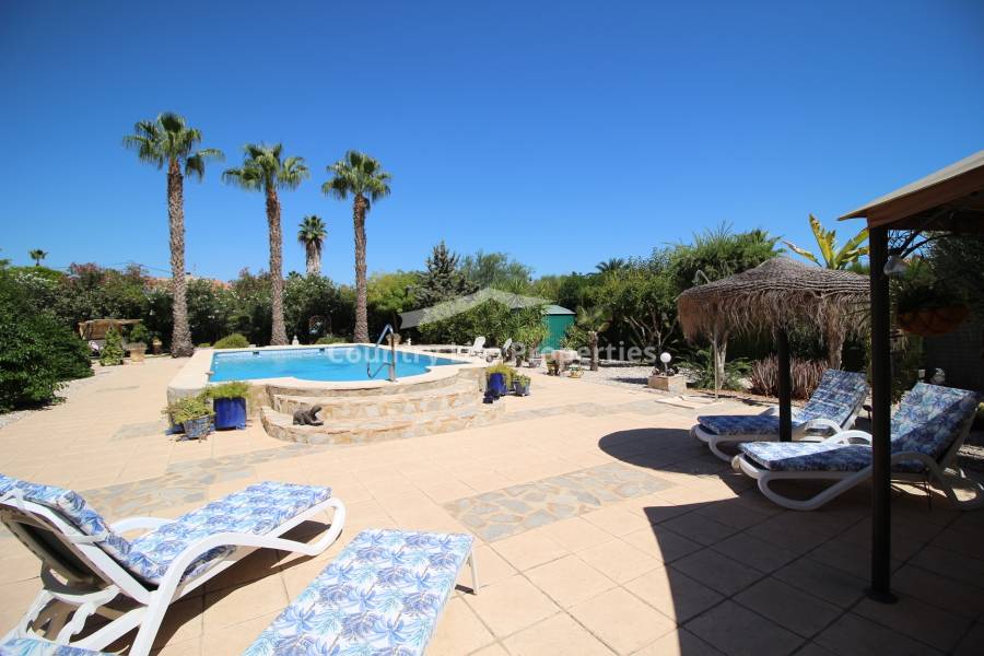 Revente - Chalet - Catral - Countryside 