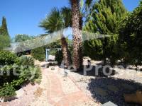 Revente - Chalet - Catral - Countryside 