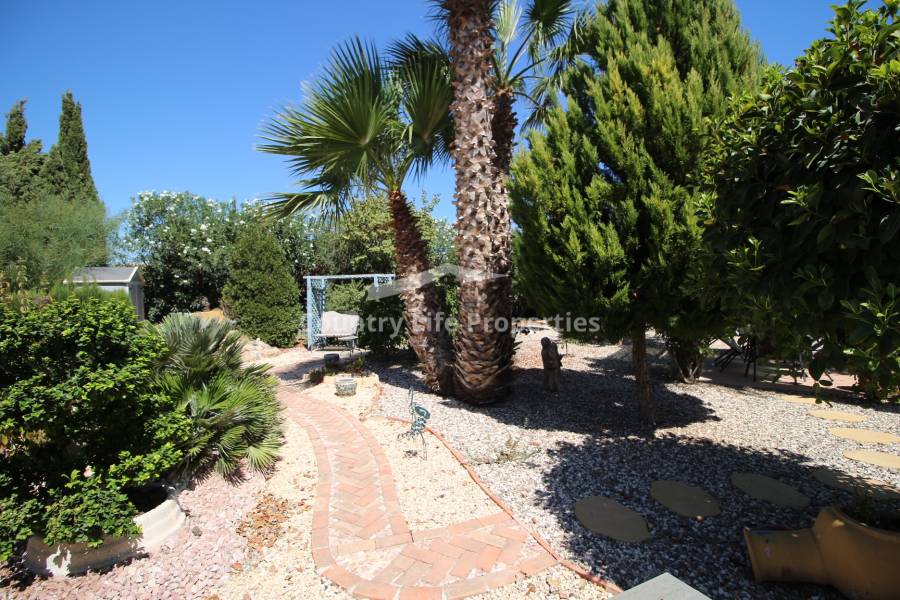 Revente - Chalet - Catral - Countryside 