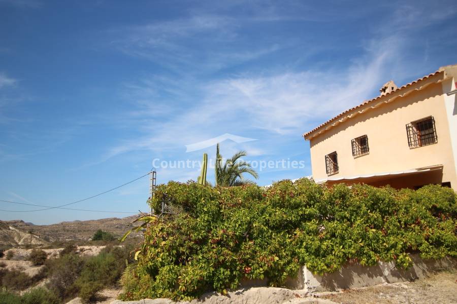 Wederverkoop - Villa - Elche - Countryside