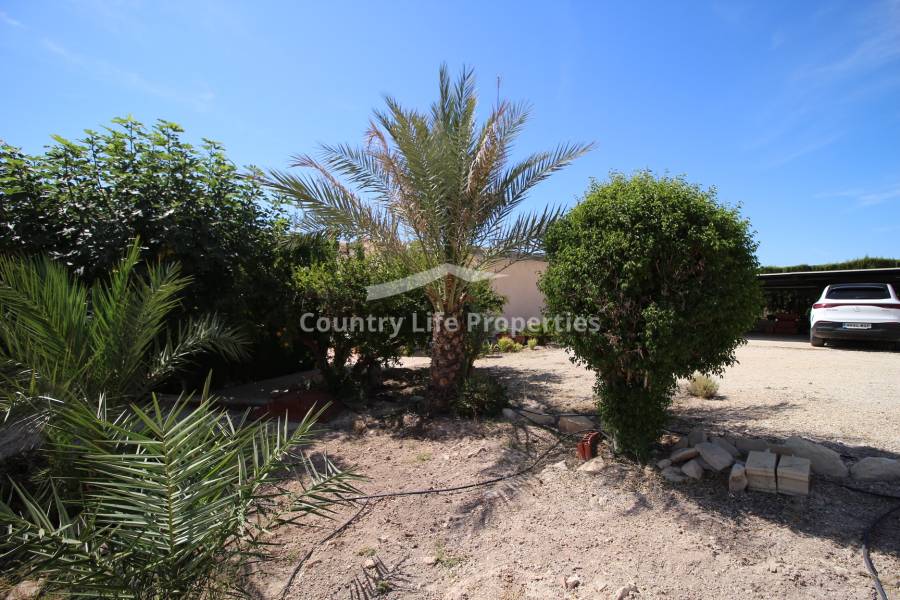 Wederverkoop - Villa - Elche - Countryside
