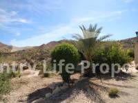 Wederverkoop - Villa - Elche - Countryside