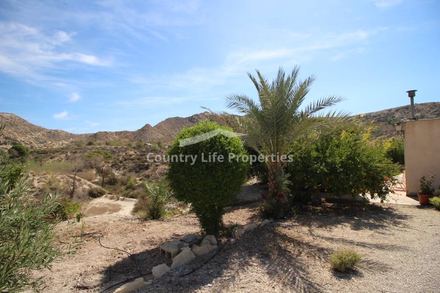 Wederverkoop - Villa - Elche - Countryside