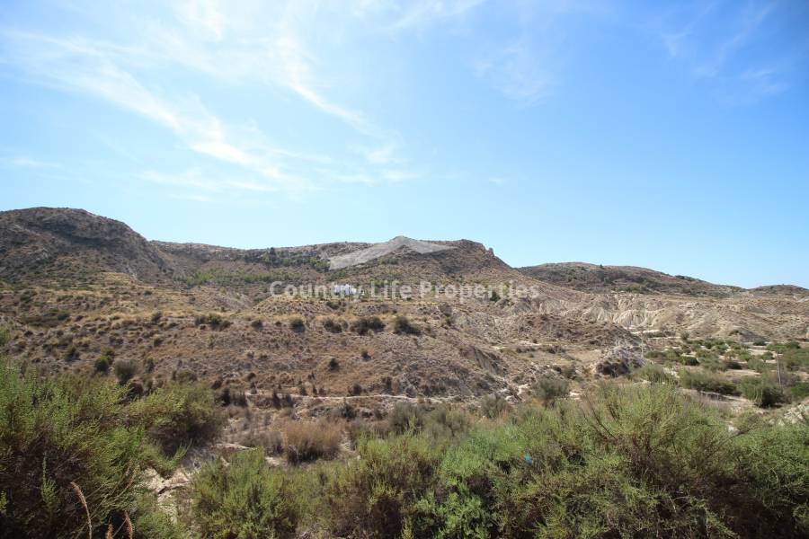 Wederverkoop - Villa - Elche - Countryside