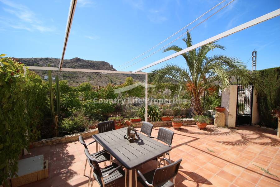 Wederverkoop - Villa - Elche - Countryside