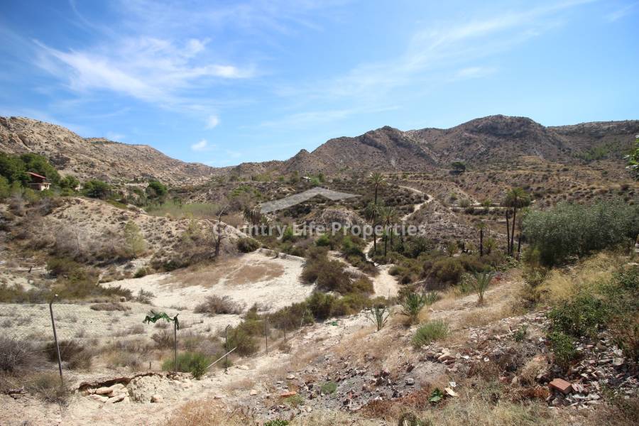 Wederverkoop - Villa - Elche - Countryside