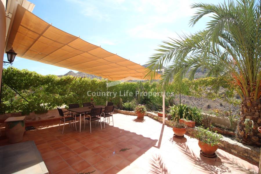 Wederverkoop - Villa - Elche - Countryside