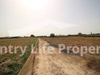 Revente - Chalet - Dolores - Countryside