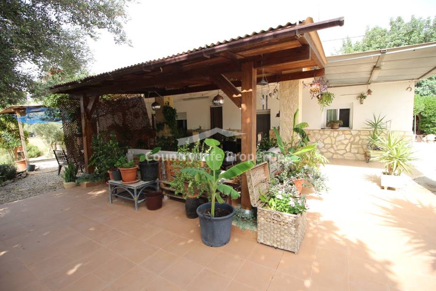 Revente - Chalet - Dolores - Countryside