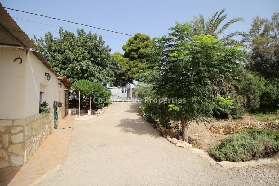 Revente - Chalet - Dolores - Countryside