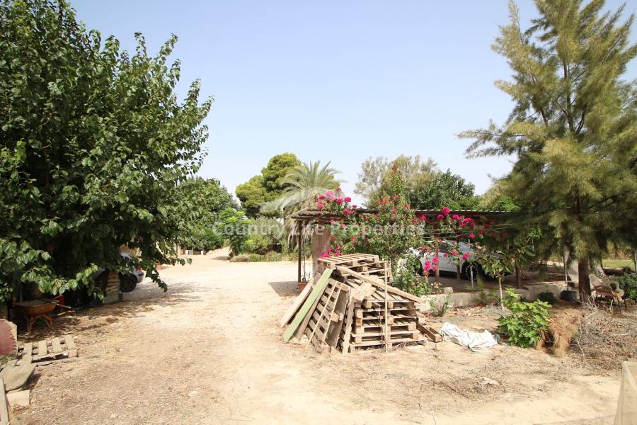 Revente - Chalet - Dolores - Countryside