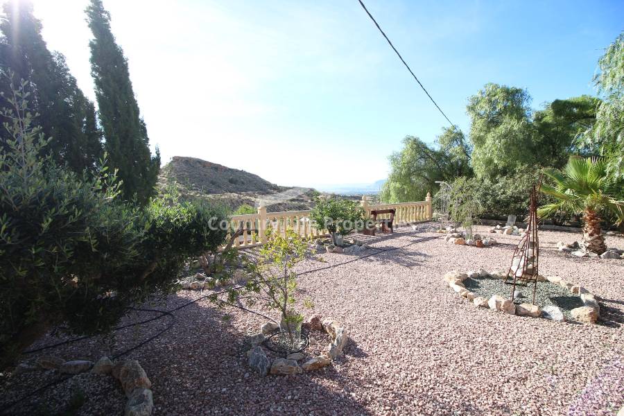 Перепродажа - Villa - Crevillente