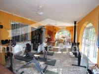 Перепродажа - Villa - Crevillente