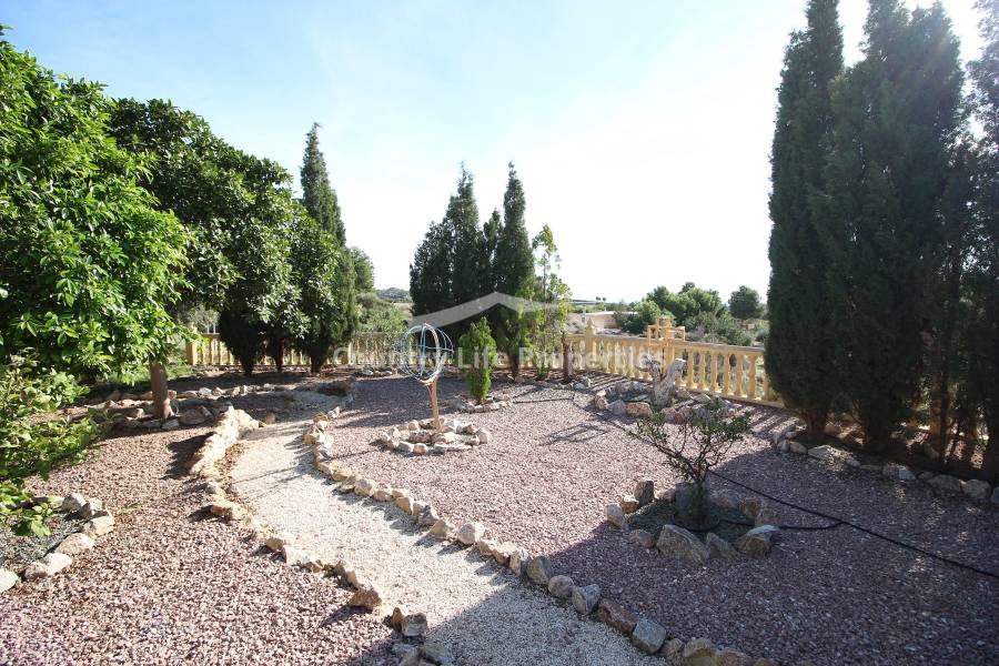 Перепродажа - Villa - Crevillente