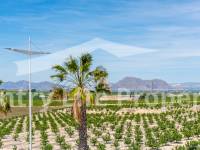 Nieuw gebouw - Villa - Algorfa  - Golf 