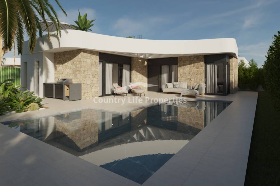 Obra Nueva - Chalet - Los Montesinos