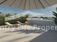 Obra Nueva - Chalet - Los Montesinos