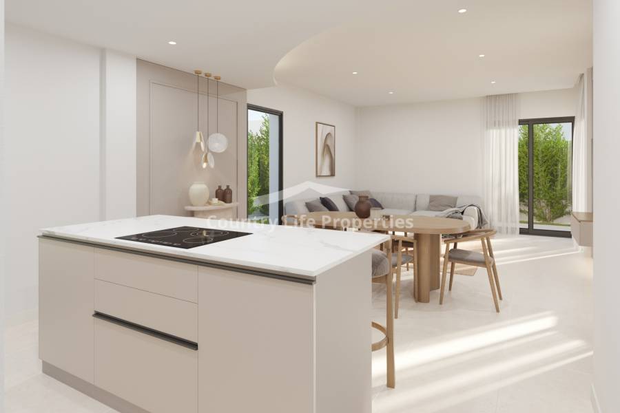 Obra Nueva - Chalet - Los Montesinos