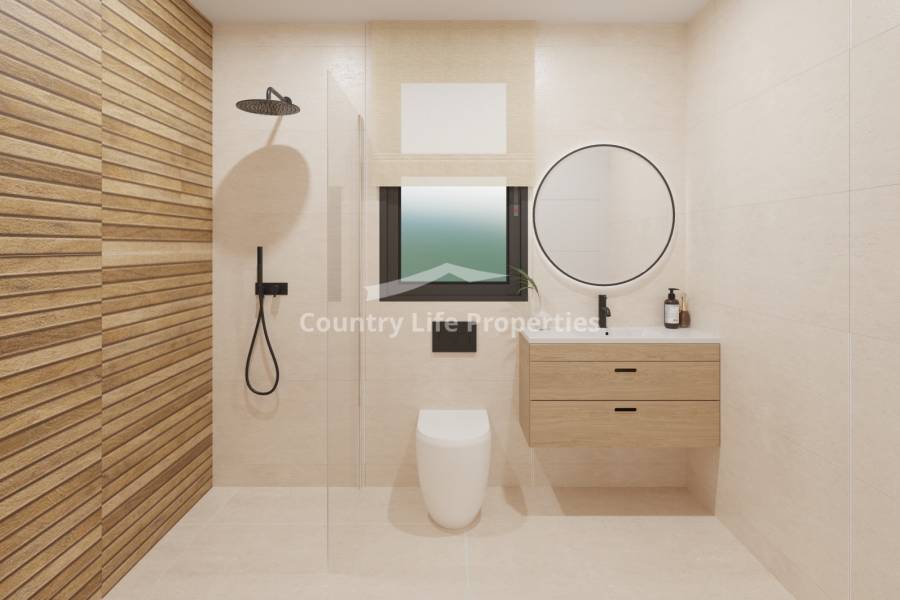 Obra Nueva - Chalet - Los Montesinos