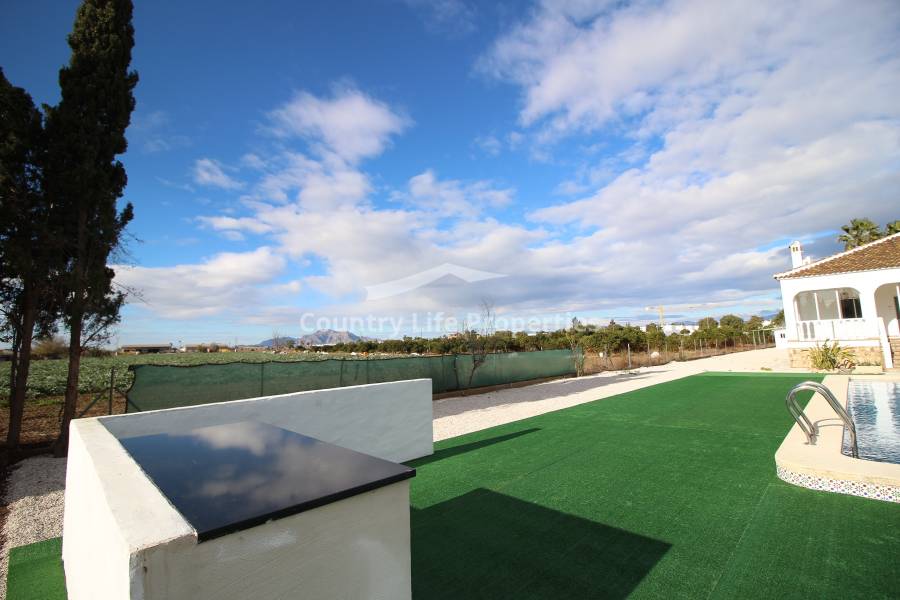 Segunda Mano - Chalet - Dolores - Campo