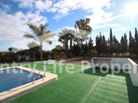 Segunda Mano - Chalet - Dolores - Campo