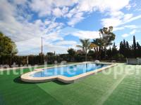 Segunda Mano - Chalet - Dolores - Campo