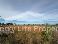 Resale - Plot - Catral - Countryside 