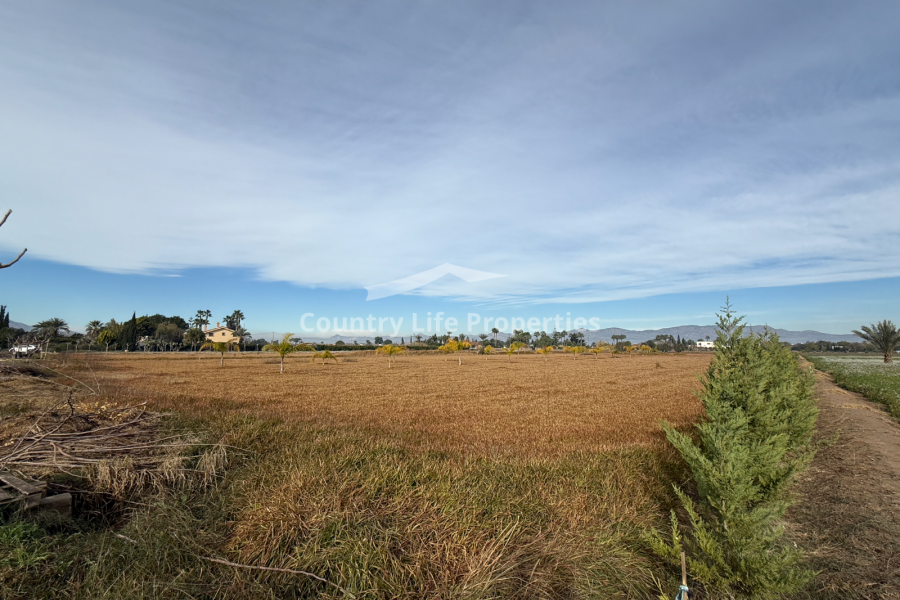 Resale - Plot - Catral - Countryside 