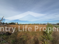 Resale - Plot - Catral - Countryside 