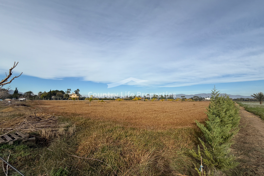 Resale - Plot - Catral - Countryside 