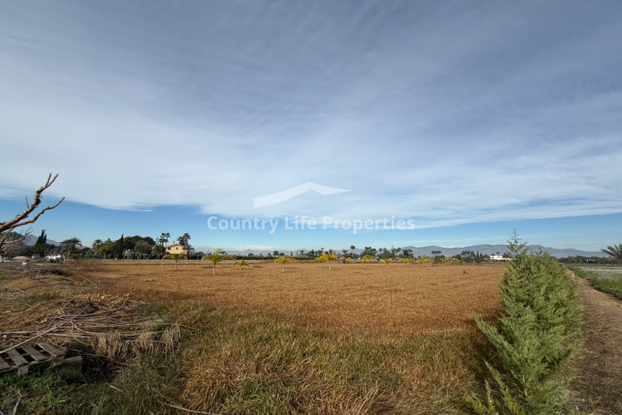 Resale - Plot - Catral - Countryside 