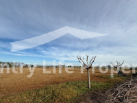 Resale - Plot - Catral - Countryside 