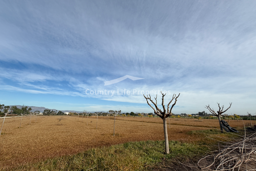 Resale - Plot - Catral - Countryside 